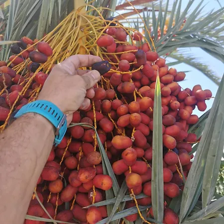 Andromeda Hideaway *