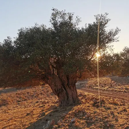 Andromeda Hideaway Apartmán