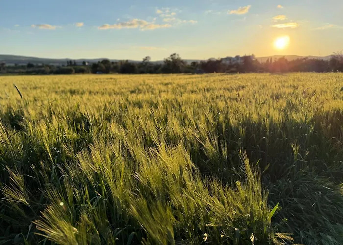 Apartment Andromeda Hideaway Polis