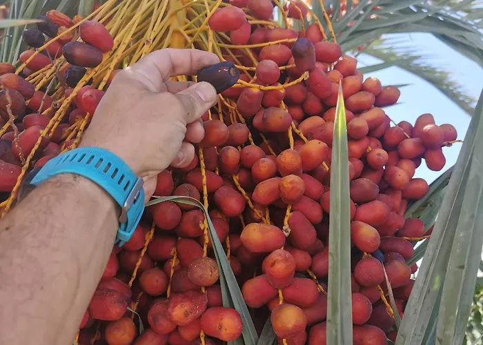 Andromeda Hideaway *