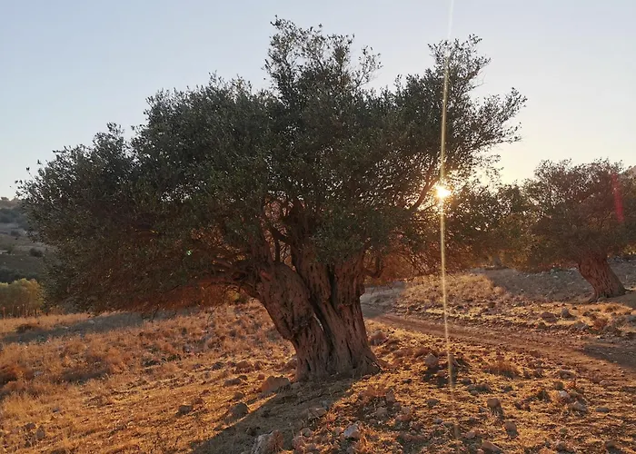 Andromeda Hideaway Apartment